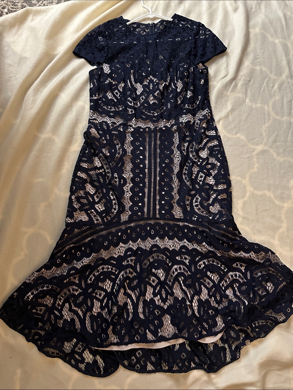 Coast Navy Lace Fit-and-Flare Dress
